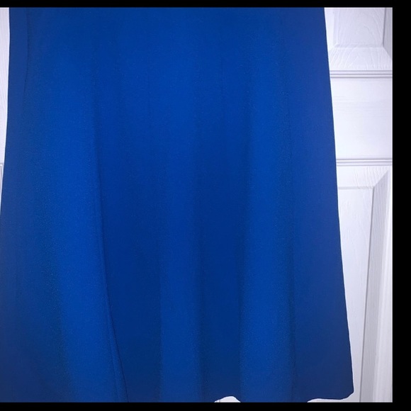 The Limited Skirt, Size Tall- XS - Picture 3 of 3